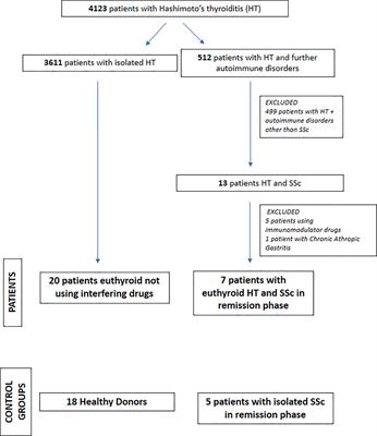 Regulatory B Cells in Systemic Sclerosis Isolated or Concomitant With Hashimoto Thyroiditis